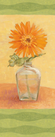 Orange Gerbera by Tim Coffey Pricing Limited Edition Print image