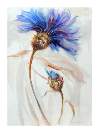 Modern Blue Flora by Maria Zielinska Pricing Limited Edition Print image