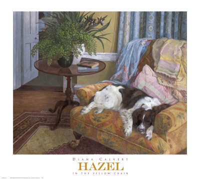 Hazel In The Yellow Chair by Diana Calvert Pricing Limited Edition Print image