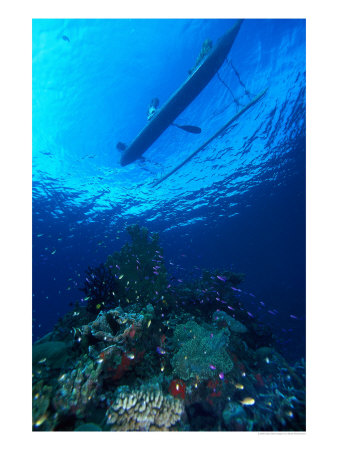 Outrigger Canoe, Milne Bay, Papua New Guinea by Stuart Westmoreland Pricing Limited Edition Print image