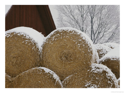 Snow Dusts Rolls Of Hay by Mattias Klum Pricing Limited Edition Print image