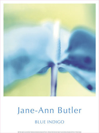 Blue Indigo by Jane Ann Butler Pricing Limited Edition Print image