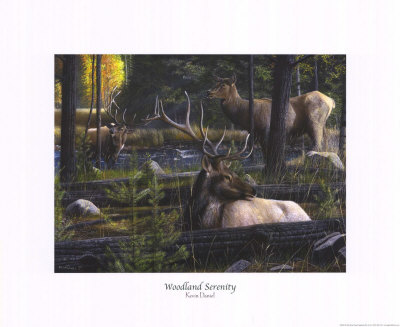 Woodland Serenity by Kevin Daniel Pricing Limited Edition Print image