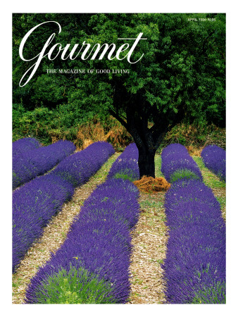 Gourmet Cover - April 1994 by Julian Nieman Pricing Limited Edition Print image