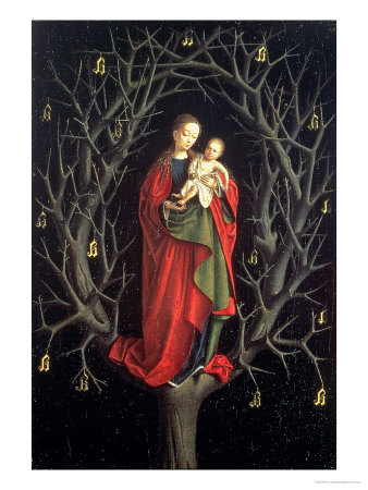 Our Lady Of The Barren Tree Circa 1444/62 by Petrus Christus Pricing Limited Edition Print image