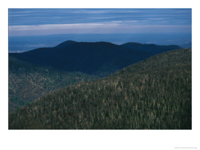 The Ridges Of Old Rag Mountain At Sunset by Raymond Gehman Pricing Limited Edition Print image