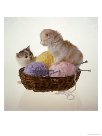 Two Kittens In Basket With Balls Of Yarn by Leslie Harris Pricing Limited Edition Print image