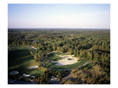 True Blue Plantation by Stephen Szurlej Pricing Limited Edition Print image