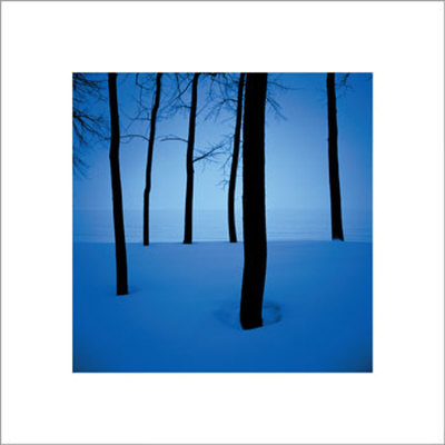 Trees In Snow by Ted Wood Pricing Limited Edition Print image