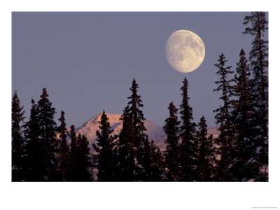 Moonrise In Early Winter, Chugach Range, Alaska, Usa by Paul Souders Pricing Limited Edition Print image