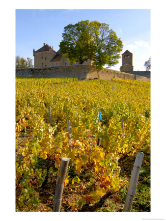 Vineyard View Of Chateau De Pierreclos, Burgundy, France by Lisa S. Engelbrecht Pricing Limited Edition Print image