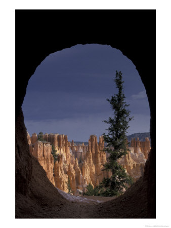 Window To Bryce From Peek-A-Boo Trail, Bryce Canyon National Park, Utah, Usa by Jamie & Judy Wild Pricing Limited Edition Print image