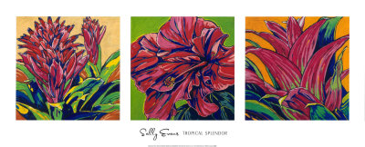 Tropical Splendor by Sally Evans Pricing Limited Edition Print image
