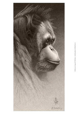 Jo-Jo, The Orangutan by Robert L. Caldwell Pricing Limited Edition Print image