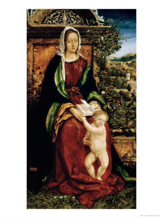 The Virgin And Child, 1509 by Hans Burgkmair Pricing Limited Edition Print image