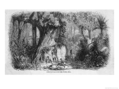Runaway Slaves In The Woods Cuba by P. Blanchard Pricing Limited Edition Print image