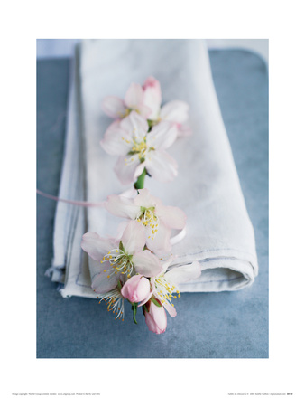 Tablee Du Dimanche by Amelie Vuillon Pricing Limited Edition Print image