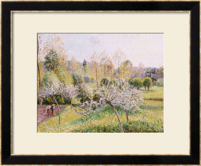 Apple Trees In Blossom, Eragny, 1895 by Camille Pissarro Pricing Limited Edition Print image