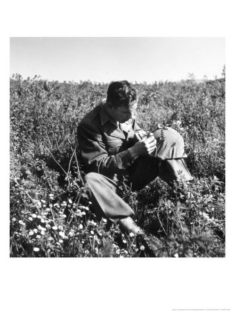 American Soldier, Red Bull Regiment, Italy, Easter Sunday, 1945 by Toni Frissell Pricing Limited Edition Print image