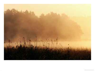 Morning Mist, Lake Vattern, Jonkoping, Sweden by Christer Fredriksson Pricing Limited Edition Print image