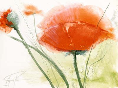 Faszination Mohn Iv by Gerd Pflumm Pricing Limited Edition Print image