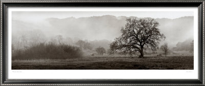 Meadow Oak Tree by Alan Blaustein Pricing Limited Edition Print image