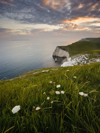 Bat's Head  Dorset  England  Uk by Mark Bauer Pricing Limited Edition Print image