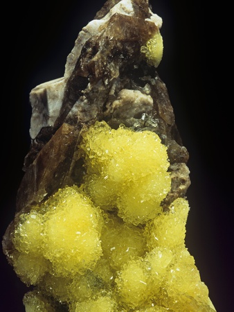 Hydroboracite On Gorgeyite, Kazakhstan by Mark Schneider Pricing Limited Edition Print image