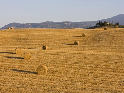 Italy, Tuscany, Bales Of Straw On Corn Field, Farmstead In Background by Fotofeeling Pricing Limited Edition Print image