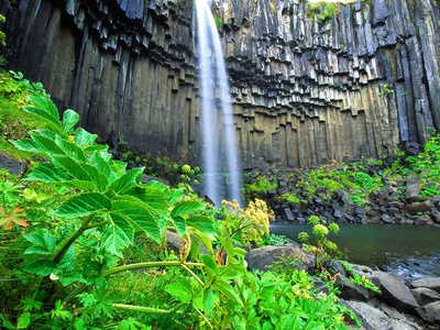 Svartifoss Waterfall, Skaftafell National Park, Southern Iceland by Robert Postma Pricing Limited Edition Print image
