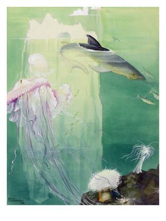 A Painting Of Alaskan Undersea Wildlife And Icebergs by Else Bostelmann Pricing Limited Edition Print image
