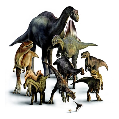 A Composite Of Dinosaurs That Lived In The Southern Hemisphere. by National Geographic Society Pricing Limited Edition Print image