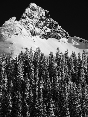 Eagle Peak by Pat O'hara Pricing Limited Edition Print image