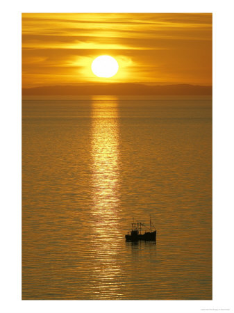 Silhouette Of Boat At Sunset, Scotland by Mark Hamblin Pricing Limited Edition Print image
