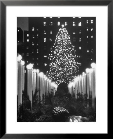 Rockefeller Center Christmas Tree At Night by Alfred Eisenstaedt Pricing Limited Edition Print image
