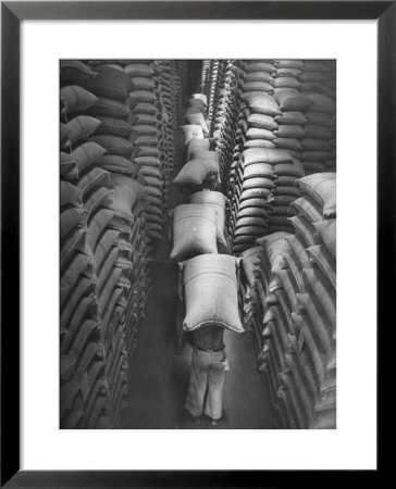 Brazilian Workers Carrying Large Sacks Of Coffee Beans In Warehouse Of Firm Lima, Noguera And Cia by John Phillips Pricing Limited Edition Print image