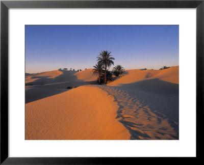 Sahara Desert, Douz, Tunisia by Jon Arnold Pricing Limited Edition Print image
