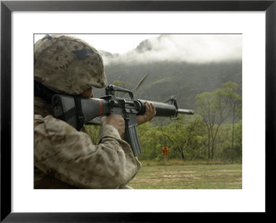 Conducting Drills With The M16-A2 Service Rifle by Stocktrek Images Pricing Limited Edition Print image