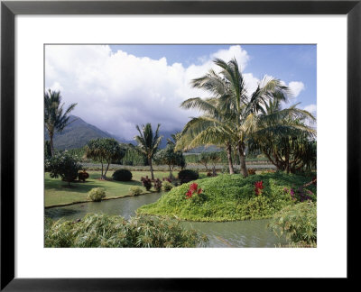 Tropical Plantation Garden, Maui, Hawaii, Hawaiian Islands, Usa by Ken Gillham Pricing Limited Edition Print image