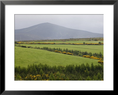 County Wicklow, Leinster, Republic Of Ireland (Eire) by Sergio Pitamitz Pricing Limited Edition Print image