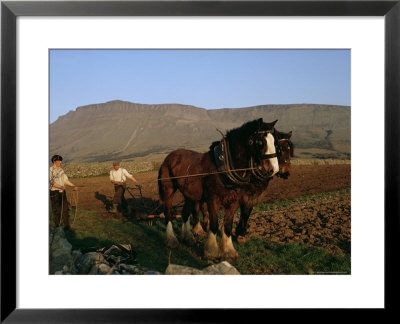 Horse And Plough, County Sligo, Connacht, Eire (Republic Of Ireland) by Christina Gascoigne Pricing Limited Edition Print image