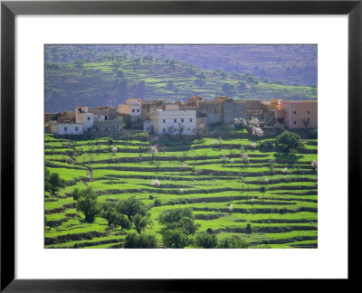 Terraced Landscape, Taroudant, Morocco, North Africa by Bruno Morandi Pricing Limited Edition Print image