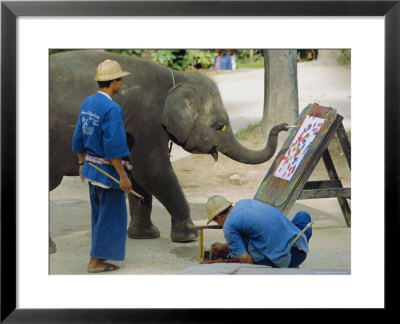 Elephant Painting With His Trunk, Mae Sa Elephant Camp, Chiang Mai, Thailand, Asia by Bruno Morandi Pricing Limited Edition Print image