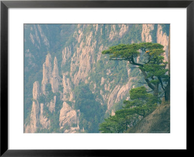 Rocks And Pine Trees, White Cloud Scenic Area, Huang Shan (Yellow Mountain), Anhui Province, China by Jochen Schlenker Pricing Limited Edition Print image