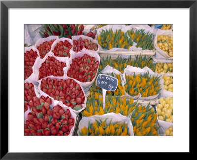Tulips At Flower Market, Amsterdam, Holland by Jon Arnold Pricing Limited Edition Print image