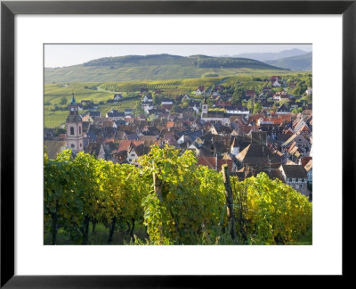 Old Wine Town Of Riquewihr And Vineyard, Alsace, France by Peter Adams Pricing Limited Edition Print image