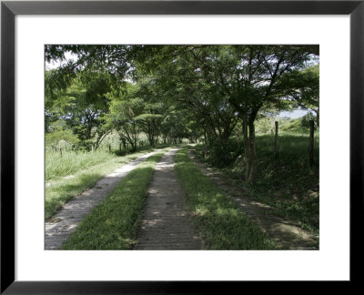 Brick And Grass Path, Mexico by Gina Martin Pricing Limited Edition Print image