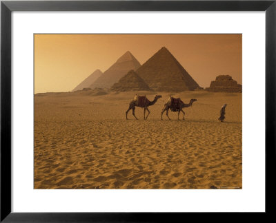 Giza Pyramids With Man Leading Two Camels Across The Desert In Egypt by Richard Nowitz Pricing Limited Edition Print image