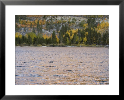 Fall Color Reflection In Rock Creek Lake, California by Rich Reid Pricing Limited Edition Print image