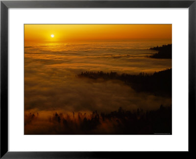 Fog At Sunset On Northern California Coast by Phil Schermeister Pricing Limited Edition Print image